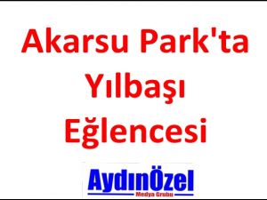 akarsu-parkta-yilbasi-eglencesi-27g.htm