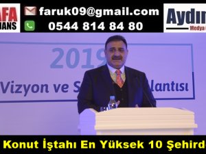 Aydın, Konut İştahı En Yüksek 10 Şehirden Biri