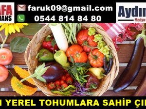 AYDIN YEREL TOHUMLARA SAHİP ÇIKIYOR