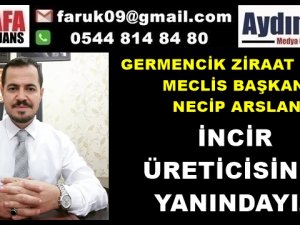 Necip ARSLAN : İncir Üreticisinin Yanındayız