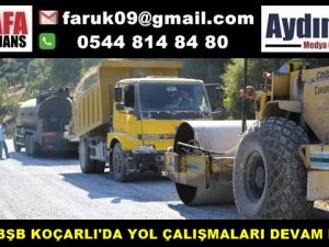 AYDIN BŞB KOÇARLI'DA YOL ÇALIŞMALARI DEVAM EDİYOR