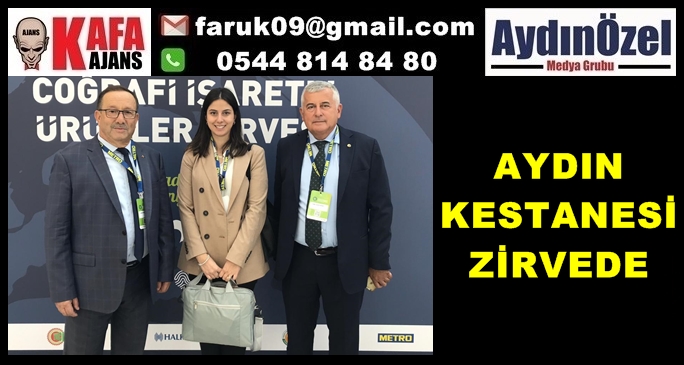 AYDIN KESTANESİ ZİRVEDE