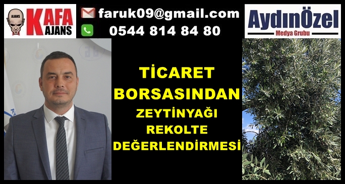 TİCARET BORSASINDAN ZEYTİNYAĞI REKOLTE DEĞERLENDİRMESİ