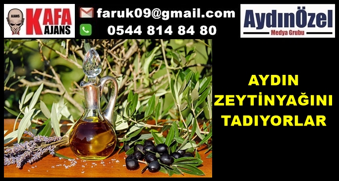 AYDIN ZEYTİNYAĞINI TADIYORLAR