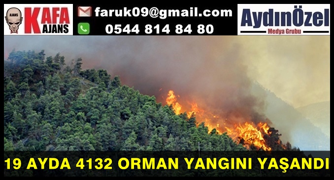 19 AYDA 4132 ORMAN YANGINI YAŞANDI