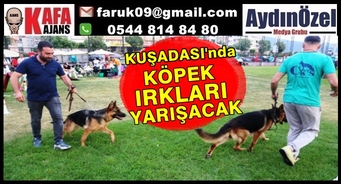 KUŞADASI'nda KÖPEK IRKLARI YARIŞACAK