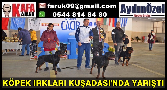 KÖPEK IRKLARI KUŞADASI'NDA YARIŞTI