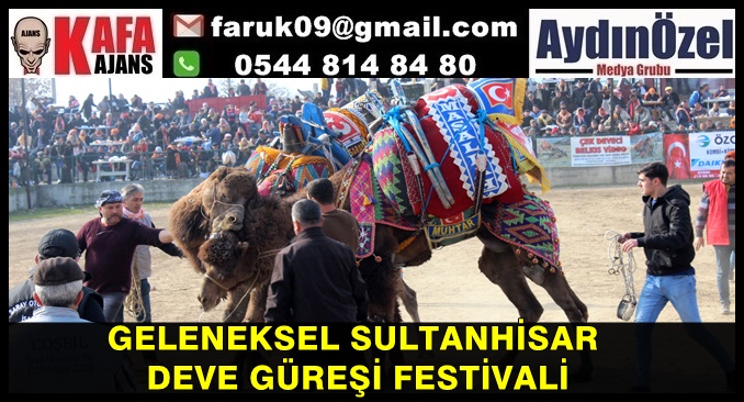 GELENEKSEL SULTANHİSAR DEVE GÜREŞİ FESTİVALİ