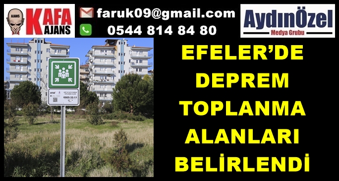 EFELER’DE DEPREM TOPLANMA ALANLARI BELİRLENDİ