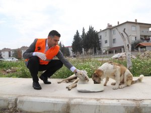 Menderes’te Can Dostlar Unutulmadı