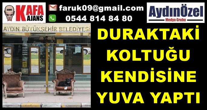 DURAKTAKİ KOLTUĞU KENDİSİNE YUVA YAPTI