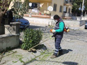 Efeler'de Yabani Ot ve Çim Biçme Çalışmaları Devam Ediyor