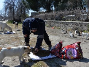 Bergama’da sokak hayvanlarına mama