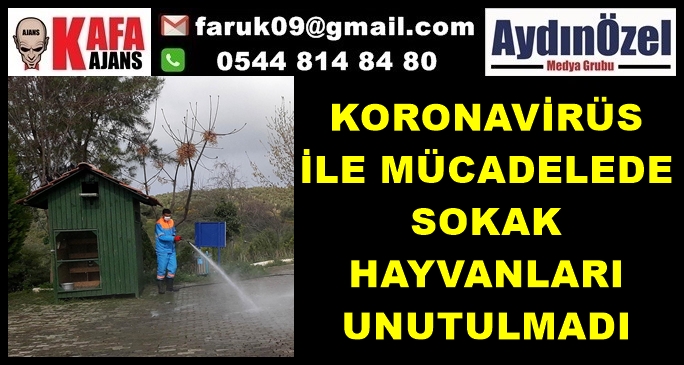 KORONAVİRÜS İLE MÜCADELEDE SOKAK HAYVANLARI UNUTULMADI