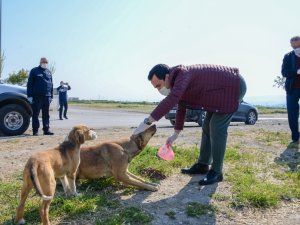 Bergama’da can dostlar unutulmadı