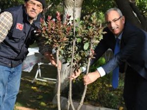 Başkan Kale; Park İncirliova Yemyeşil Olacak