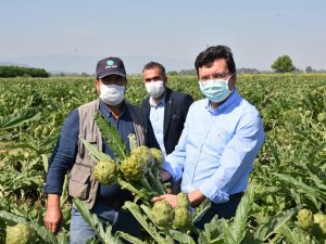 Tarımın ve üretimin kenti Aydın’da tarım hiç durmamalı