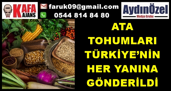 ATA TOHUMLARI TÜRKİYE’NİN HER YANINA GÖNDERİLDİ