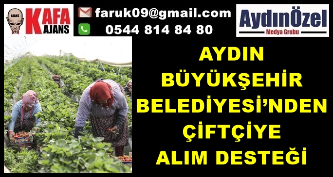 AYDIN BÜYÜKŞEHİR BELEDİYESİ’NDEN ÇİFTÇİYE ALIM DESTEĞİ