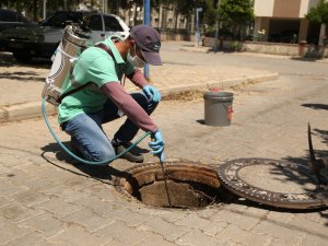 Efeler'de Larva İlaçlaması Tüm Hızıyla Sürüyor