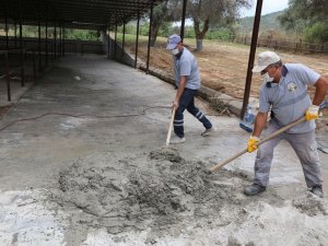 Dalama Hayvan Pazarı Yenileniyor