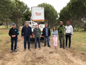 Çam fıstığındaki verim düşüklüğüne 10 proje ile çözüm aranıyor