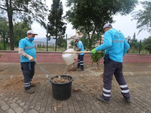 ATA MAHALLESİ’NDE YEŞİL ALANLAR CAN BULDU