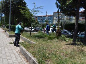 Nazilli Belediyesi’nden 4 ayrı noktada eş zamanlı çalışma