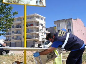 Buca Belediyesi 1 yılda 8 bin hayvana kucak açtı