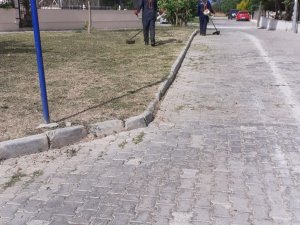 DİDİM’DE PARK BAHÇELER MÜDÜRLÜĞÜ ÇALIŞMALARINA DEVAM EDİYOR