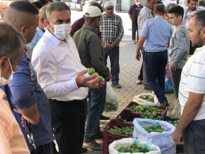 Beydağ'da İlek(İğlek) Zamanı