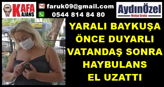 YARALI BAYKUŞA ÖNCE DUYARLI VATANDAŞ SONRA HAYBULANS EL UZATTI