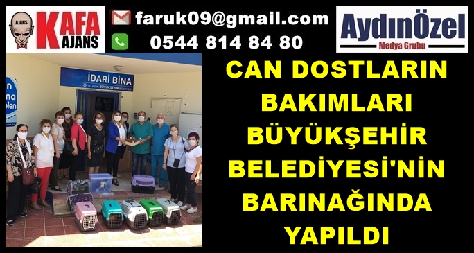 CAN DOSTLARIN BAKIMLARI BÜYÜKŞEHİR BELEDİYESİ'NİN BARINAĞINDA YAPILDI