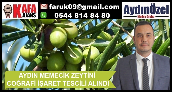 TİCARET BORSASI, MEMECİK ZEYTİNİ COĞRAFİ İŞARET TESCİLİ’Nİ ALDI