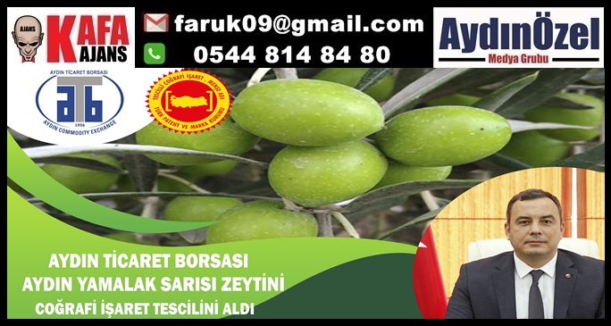 AYDIN TİCARET BORSASI, AYDIN YAMALAK SARISI ZEYTİNİ COĞRAFİ İŞARET TESCİLİ’Nİ ALDI