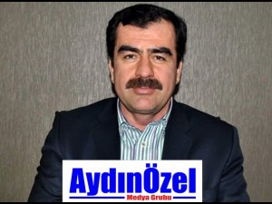 Aşırı Sıcaklar Toplu Arı Ölümlerini Meydana Getirdi