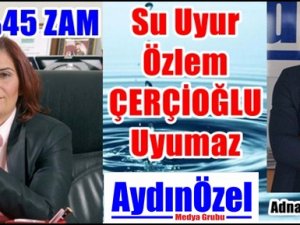 Su Uyur Özlem ÇERÇİOĞLU Uyumaz