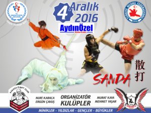 Aydın’da Whusu-Kung Fu Festivali