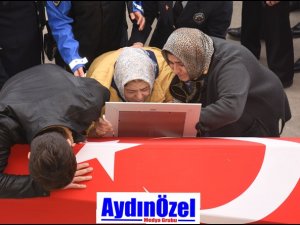 Nazillimizin Başı Sağolsun..