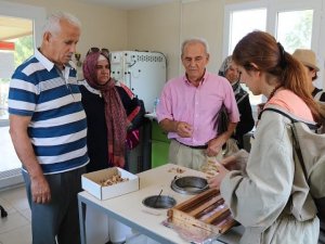 TKDK Arıcılara Eğitim Verdi