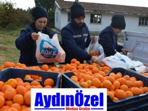 Söke Belediyesinden Vatandaşa C Vitamini