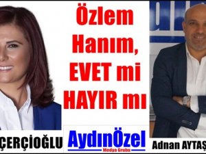 Özlem Hanım, EVET mi HAYIR mı