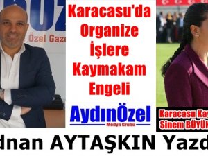 Karacasu'da Organize İşlere Kaymakam Engeli