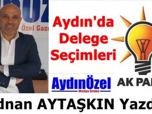 Aydında Delege Seçimleri