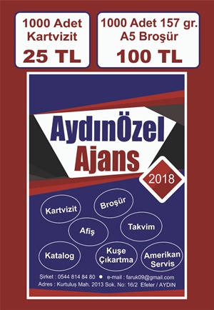 AydınÖzel Ajans Reklamı