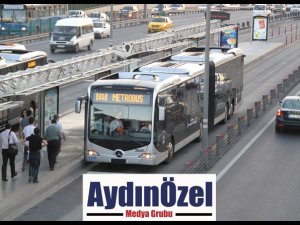 SARI CİVCİVLERİN SAYISI ARTIRILACAK