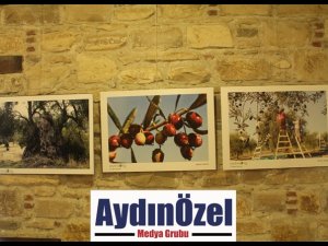 İBRAMAKİ SANAT GALERİSİ’NDE ZEYTİN KONULU FOTOĞRAF SERGİSİ