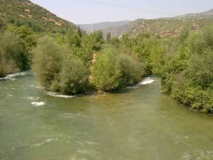 Çevre Müdürlüğü : Sorumluluk Büyükşehir Belediyesinde