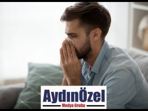 POLENLER DE SİNÜZİTİ TETİKLİYOR