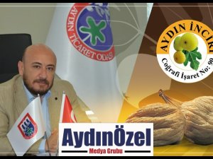 SAHURDA AYDIN İNCİRİ